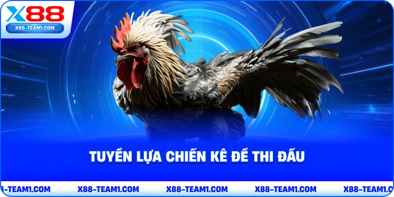 Đá Gà Cựa Dao Cực Hay – Chia Sẻ Mẹo Chơi Hốt Tiền Nhà Cái 4 tuyen-lua-chien-ke-de-thi-dau